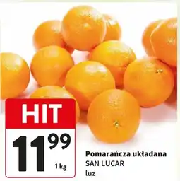 Intermarche Pomarańcza układana SAN LUCAR luz oferta