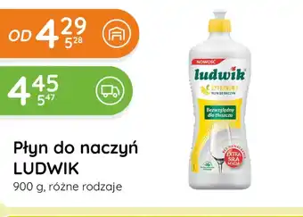Eurocash Cash & Carry Płyn do naczyń Ludwik oferta