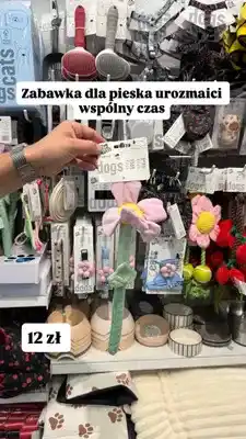 Pepco Zabawka dla psa oferta