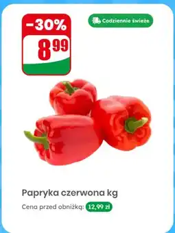 Dino Papryka czerwona oferta