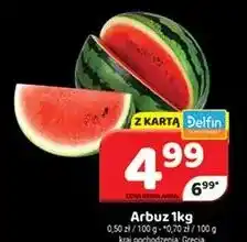 Delfin Arbuz grecki oferta
