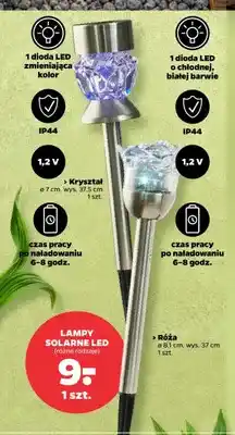 Netto Lampa solarna LED Róża 8,1cm wys. 37cm oferta