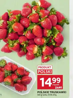Stokrotka Truskawki Polski oferta