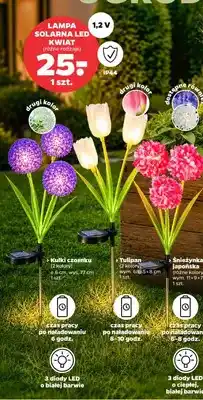 Netto Lampa solarna LED kwiat oferta