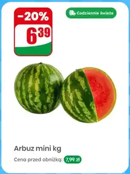 Dino Arbuz mini oferta