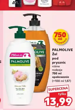 Kaufland Bielenda i Soraya Wszystkie artykuły oferta