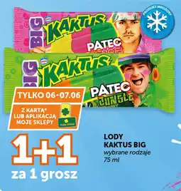 Groszek Nestlé Lody Kaktus Big oferta