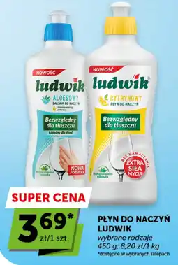 Groszek Ludwik Płyn do naczyń oferta