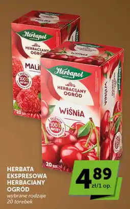 Groszek Herbapol Herbata ekspresowa Herbaciany Ogród oferta