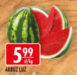 Sklepy Doroty Arbuz luz oferta
