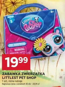 Stokrotka Market Zabawka zwierzątka Littlest Pet Shop oferta