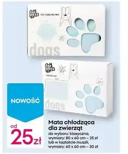 Pepco chłodząca Mata oferta