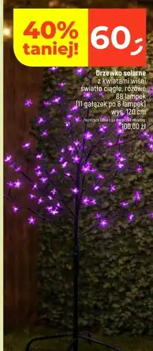 Dealz Lampki zewnętrzne oferta