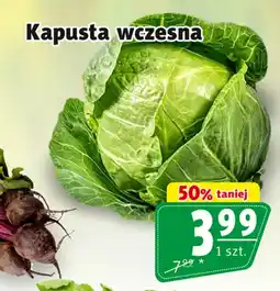 Prim Market Kapusta oferta