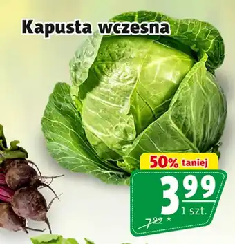 Prim Market Kapusta oferta