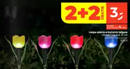 Dealz Lampa solarna w kształcie tulipana oferta
