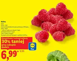 Lidl Maliny oferta