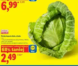 Lidl Polska kapusta biała młoda oferta