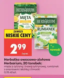 Biedronka Herbatka owocowo-ziołowa Herbarium mięta z cytryną i trawą cytrynową oferta