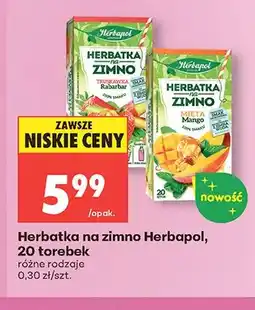Biedronka Herbatka na zimno Herbapol oferta