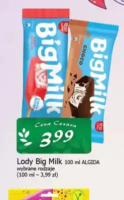 Cezar Delikatesy Lody Big Milk oferta