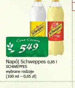 Cezar Delikatesy Napój Schweppes oferta