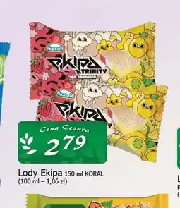 Cezar Delikatesy Lody Ekipa oferta