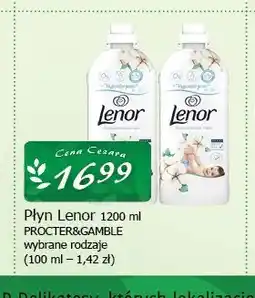 Cezar Delikatesy Płyn Lenor oferta