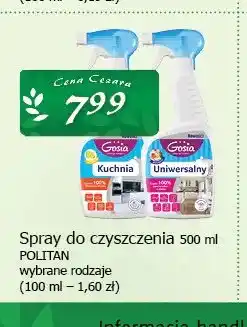 Cezar Delikatesy Spray do czyszczenia Politan oferta