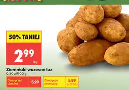 Biedronka Ziemniaki wczesne luz oferta