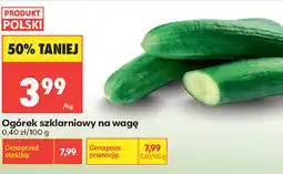 Biedronka Ogórek szklarniowy na wagę oferta