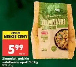 Biedronka Ziemniaki polskie sałatkowe, opak. 1,5 kg Biedronka oferta