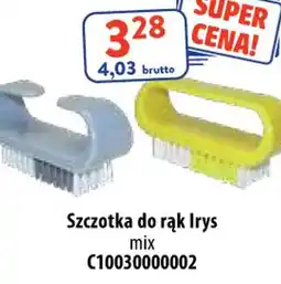 AT Szczotka do rąk Irys oferta