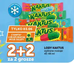 ABC Nestlé Lody Kaktus oferta