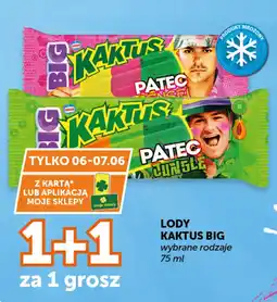 ABC Nestlé Lody Kaktus Big oferta