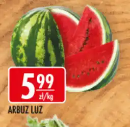 Sklepy Doroty Arbuz luz oferta