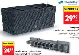 Biedronka Prosperplast Skrzynka z systemem nawadniania oferta