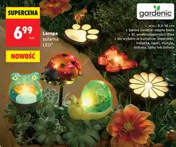 Biedronka gardenic Lampa solarna LED oferta