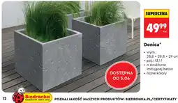 Biedronka Donica oferta