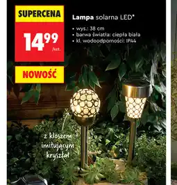 Biedronka Lampa solarna LED oferta