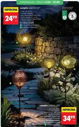 Biedronka Lampka solarna LED oferta