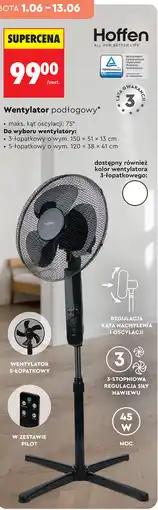 Biedronka Hoffen Wentylator podłogowy oferta