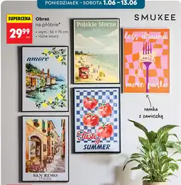 Biedronka SMUKEE Obraz na płótnie oferta
