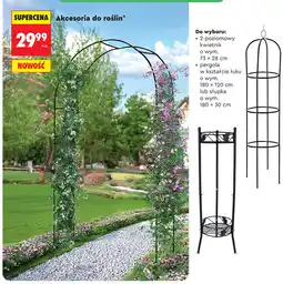 Biedronka Akcesoria do roślin oferta