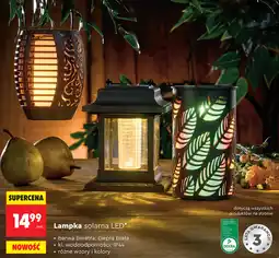 Biedronka gardenic Lampka solarna LED oferta