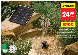Biedronka gardenic Fontanna solarna z osobnym panelem oferta