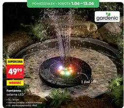 Biedronka gardenic Fontanna solarna LED oferta