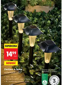 Biedronka Zestaw 4 lamp solarnych LED oferta