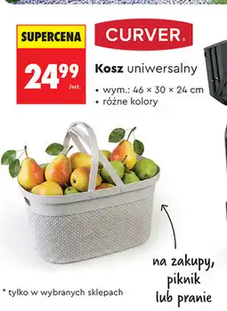 Biedronka Kosz uniwersalny Curver oferta