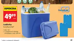Biedronka Lodówka turystyczna ConnaBride oferta